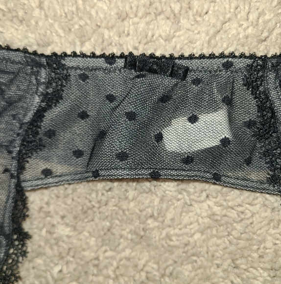 Felina Garter Belt Size S Sexy Swiss Dot Sheer Embroidered Mesh Lace Bows Clips - Picture 2 of 16